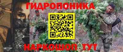 эйфоретик Пушкино