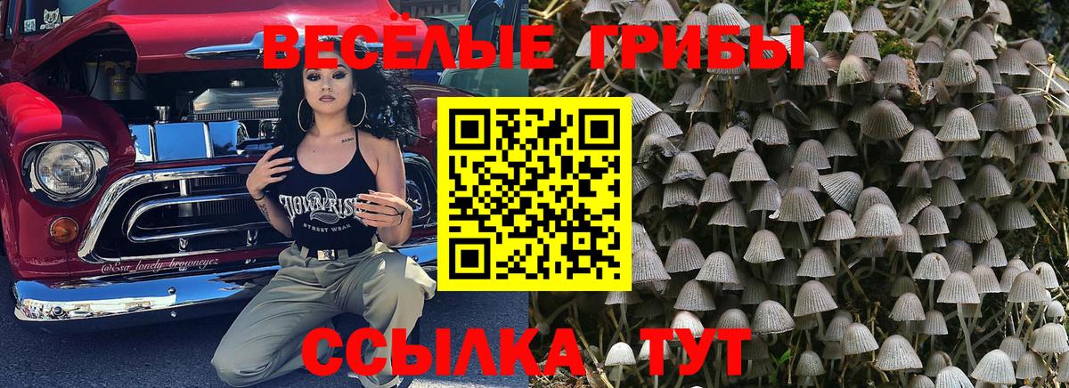 Углич  Галлюциногенные грибы GOLDEN TEACHER  Вход с VPN  Псилоцибиновые грибы мухоморы 